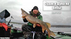 ЗИМНЯЯ РЫБАЛКА БЕЗ ЛЬДА. Ловля Судака и Щуки в отвес с лодки.