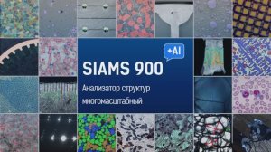 ПО SIAMS 900