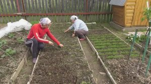 6 соток 1 июня 2021 год. Костёр в теплице от заморозков с ОСТОРОЖНОСТЬЮ! Крашу перголу.