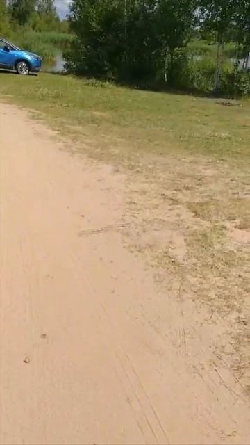 30 июля 2024 г. смотреть онлайн