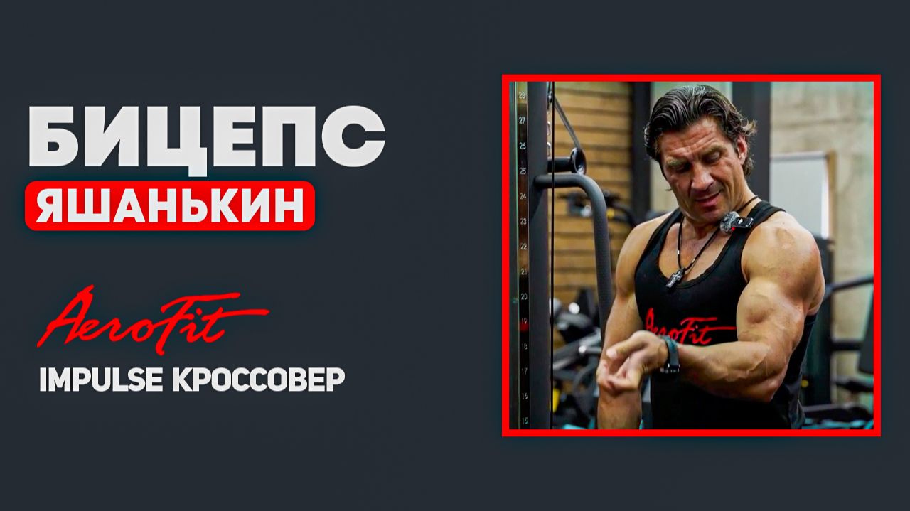ЯШАНЬКИН: Нюансы Подъема на БИЦЕПС Impulse IT95 смотреть онлайн