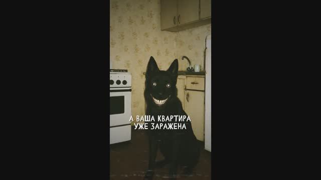 СОБАКА СИМУЛЯКР. "Записи об аномалиях от К.О.Н.Т.У.Р." №78, ЗАПИСЬ 052. смотреть онлайн