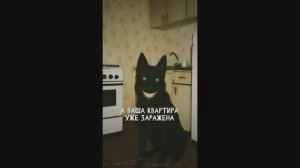 СОБАКА СИМУЛЯКР.  "Записи об аномалиях от К.О.Н.Т.У.Р." №78, ЗАПИСЬ 052.
