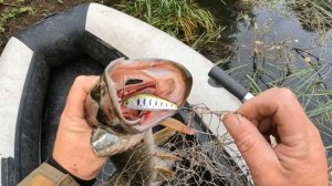 Щука на воблер Smith D-Incite 53