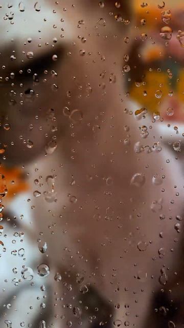 Кошарик смотреть онлайн