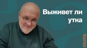 Перезимует ли утка? Валерий Кузенков о выпуске уток.
