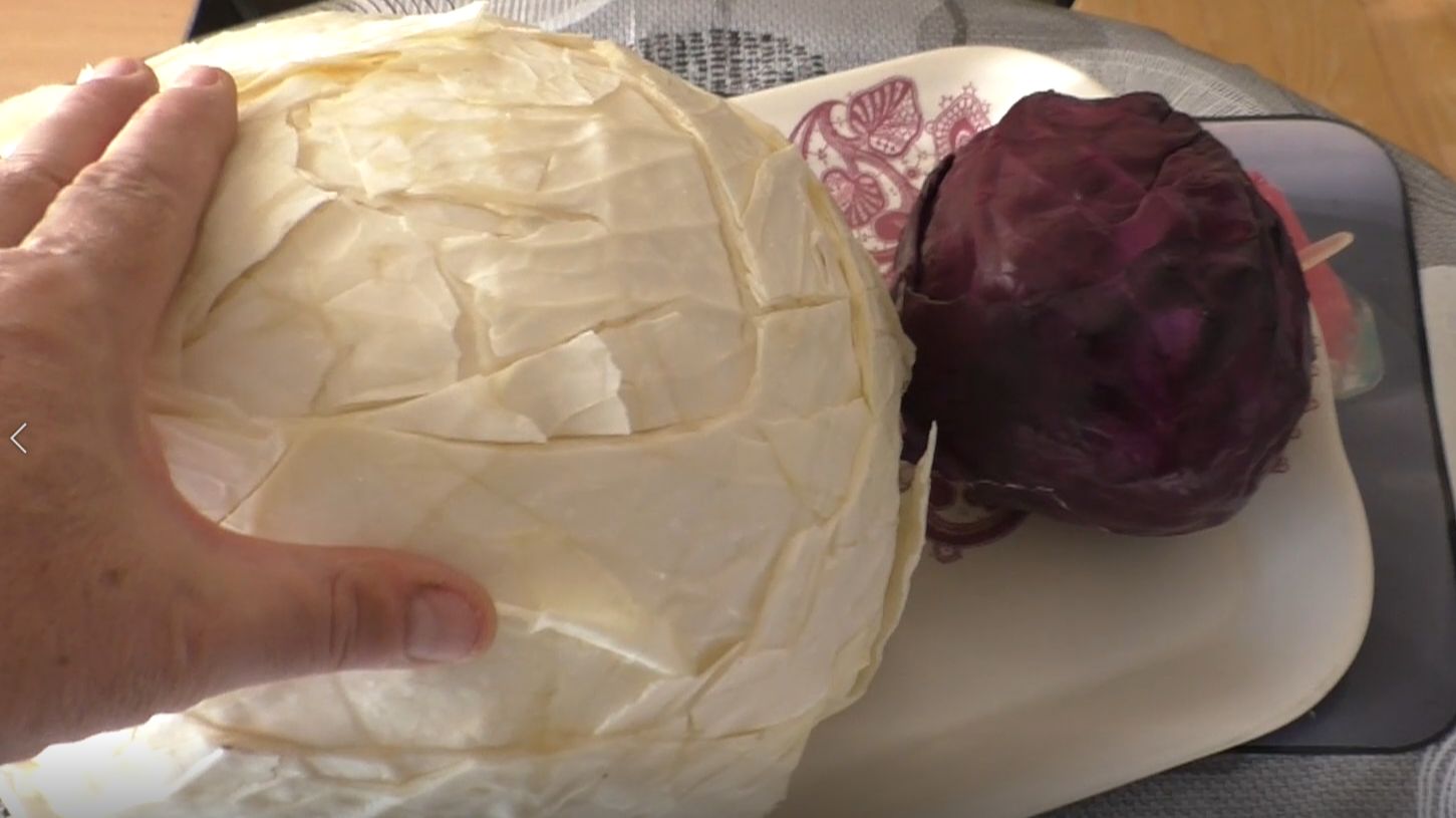 Бактериоз при хранении капусты не страшен смотреть онлайн