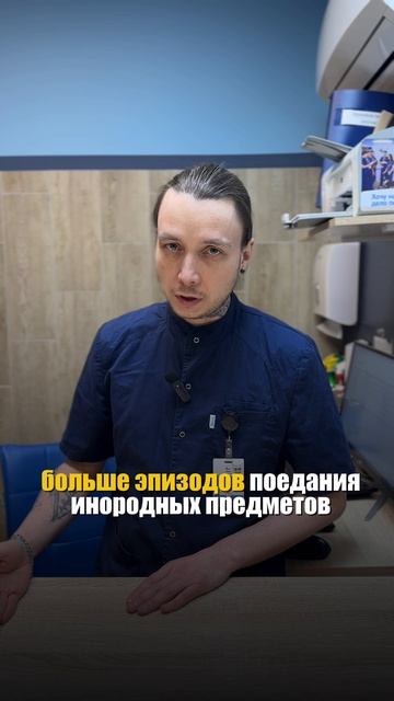 Почему коты едят несъедобные предметы