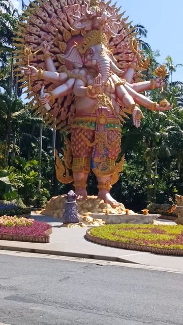 Тень — это не отсутствие света. Это его след Что скрывает Nong Nooch? смотреть онлайн