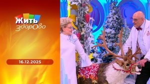 Жить здорово! Выпуск от 16.12.2025