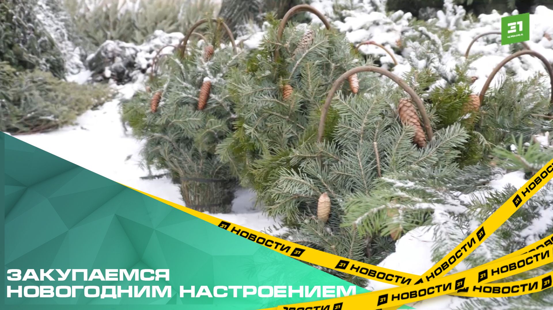 Закупаемся новогодним настроением. В Челябинске заработали елочные базары смотреть онлайн