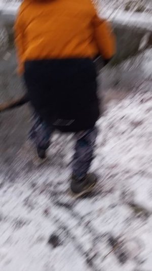 Растения против зомби