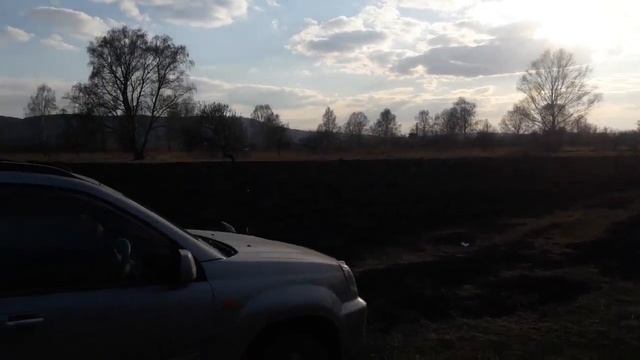 Первое золото сезона! Сгоревшие поля. Коп 2019.