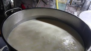 Грибной день