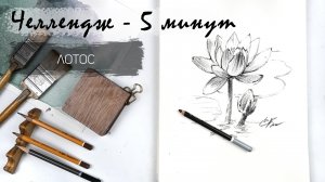 Лотос за 11 минут простым карандашом. Рисуем регулярно. Быстрые наброски