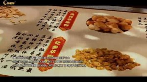 Инновационный набор гармонизации конституционального типа от компании Fohow.