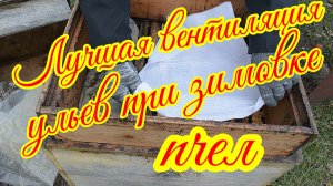 Три лучших типа вентиляции во время зимовки пчел