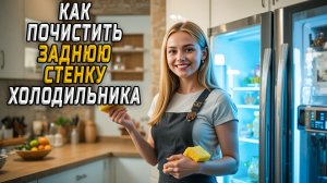 Как почистить заднюю стенку холодильника