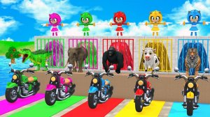 Мультики для детей. Испытания на выносливость диких и домашних животных. Мультфильмы для малышей.