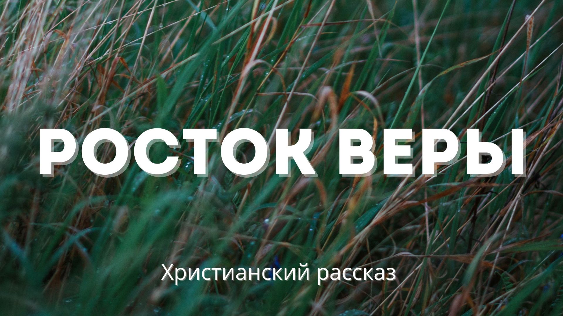 Росток веры | История о смелости и молитве смотреть онлайн