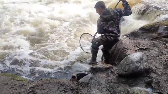 рыбалка саком.mp4 смотреть онлайн