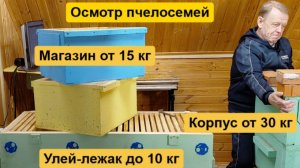 Как производится осмотр пчёл в ульях-лежаках и в корпусных ульях с магазином