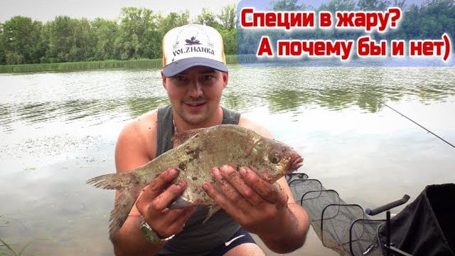 Ловля леща на реке в жару на осенний прикорм