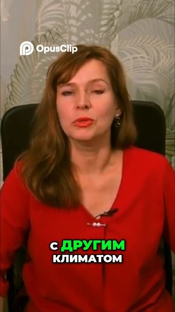 Питание по Аюрведе: как укрепить пищеварение и не навредить себе