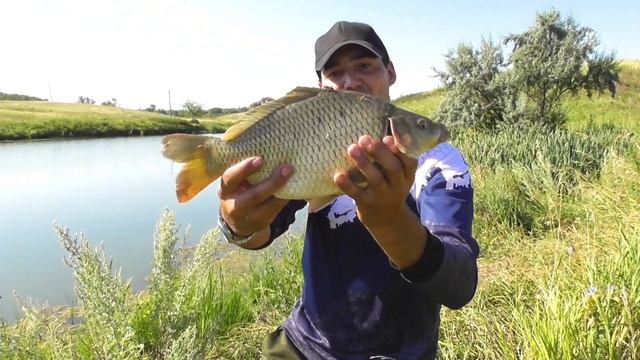 Рыбалка на пруду в августе на фидер. Приехал за карасем, а попал на бонус!