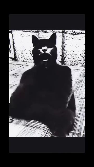 Ребят скоро все наладится❤️ смотреть онлайн