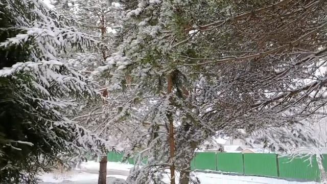 #зимняя сказка и красота леса смотреть онлайн