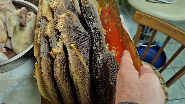 Итог. Пластиковая колода, любительское, естественное пчеловодство, жбан, бутыль, нуклеус джин