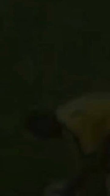 1217(1) смотреть онлайн