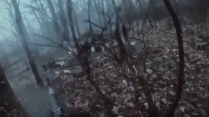 SHAMAN - ЖИВОЙ (музыка и слова: SHAMAN) СВО🙏🇷🇺