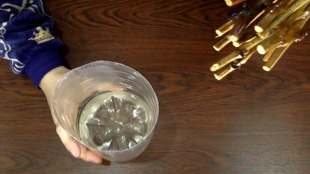 Проверка_зимостойкости_и_морозоустойчивости_винограда_в_домашних_условиях