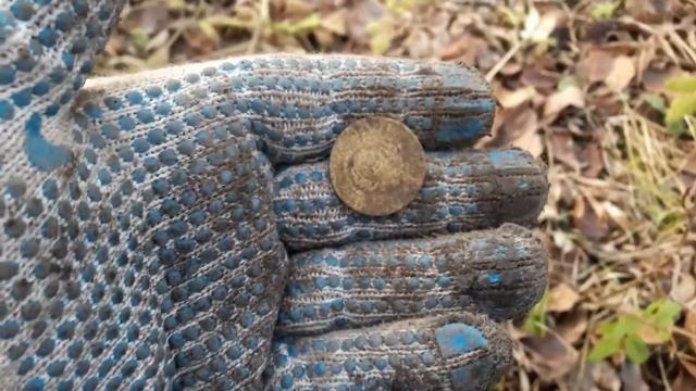 Дедушка расщедрился на серебро... Eqinox 800. Коп 2019.