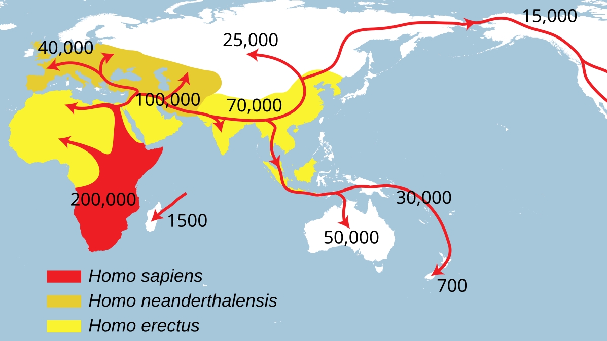 Великое расселение сапиенсов