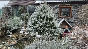 РЕШИЛИ СДЕЛАТЬ СЕБЕ ПОДАРК...