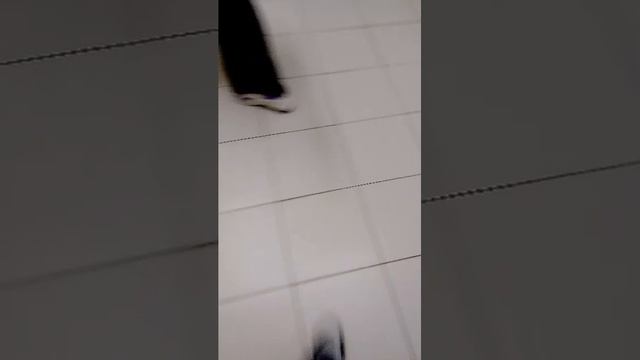 в шк смотреть онлайн