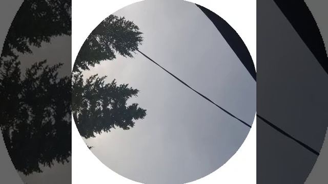 Чагоо смотреть онлайн