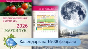Календарь Марии Тун 2026 – февраль – с 16 по 28