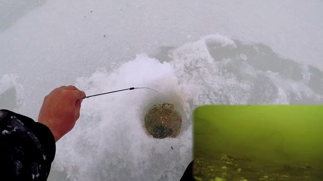 ПОИСК ПЛОТВЫ В КОНЦЕ МАРТА!