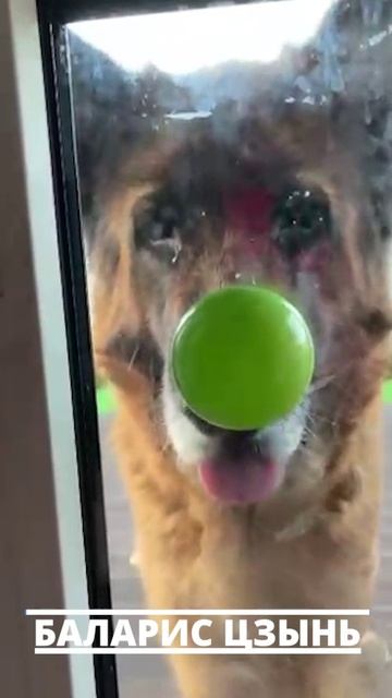 Цзынь с яблоком в стиле Магритта смотреть онлайн