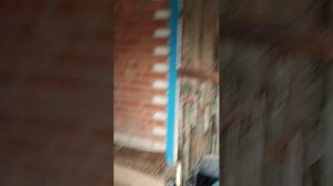 1000251006.mp4