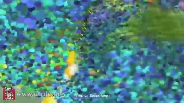 БИОЛОГИЯ ОПЕРЕЖАЕТ ЛЮБЫЕ МАШИНЫ. малекулярные моторы живых организмов внутри клеток смотреть онлайн