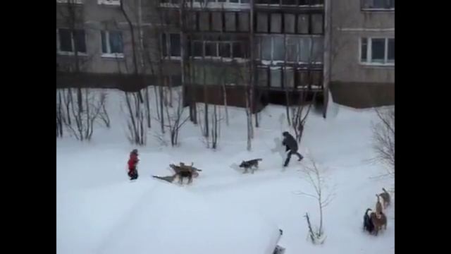 STRB l ARMA REFORGER l AS VDV RTvT #3 моменты by Morra смотреть онлайн