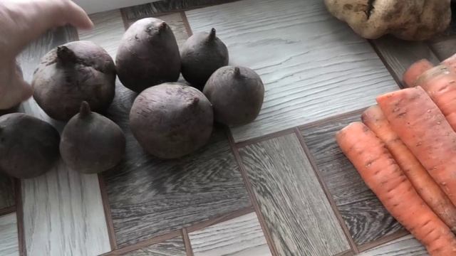 Овощи из погреба 18 декабря 2025 года, редька, репа, свекла, брюква и морковка. смотреть онлайн