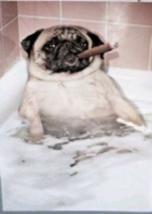 Я тута будем играть