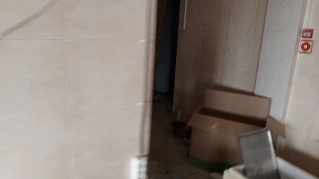 жукова 16 смотреть онлайн
