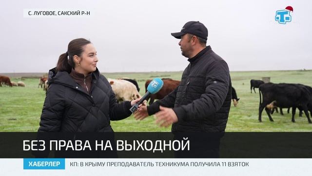 Крымские агропредприниматели подают гранты на господдержку смотреть онлайн